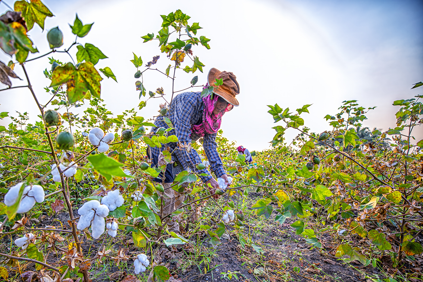 363 | Maharashtra 2023